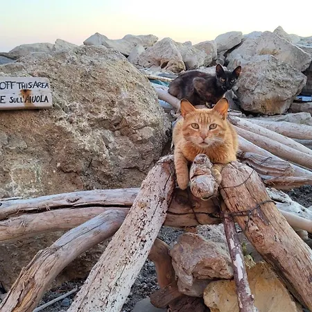 Lejlighed Debaix Bastioni Marco Polo 55 *